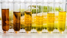 The REA claims that the Government’s own Transport Energy Task Force had lobbied for a 10% ruling for the crop-based bioethanol